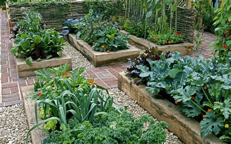  Your Edible Garden: Growing Your Own Fresh, Organic Produce A Literary Ode to Sustainable Living and Culinary Delight!